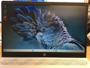 HP Pavilion 14-CS SERIES 14-CS3339na LCD FULL SCREEN DISPLAY ASSEMBLY (M14/2)